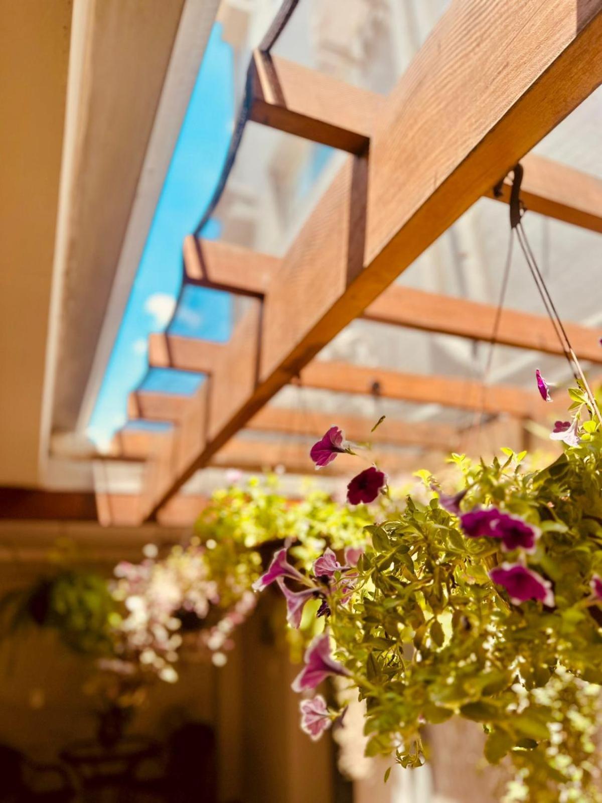 Skalla Hotel Нова-Одесса Экстерьер фото