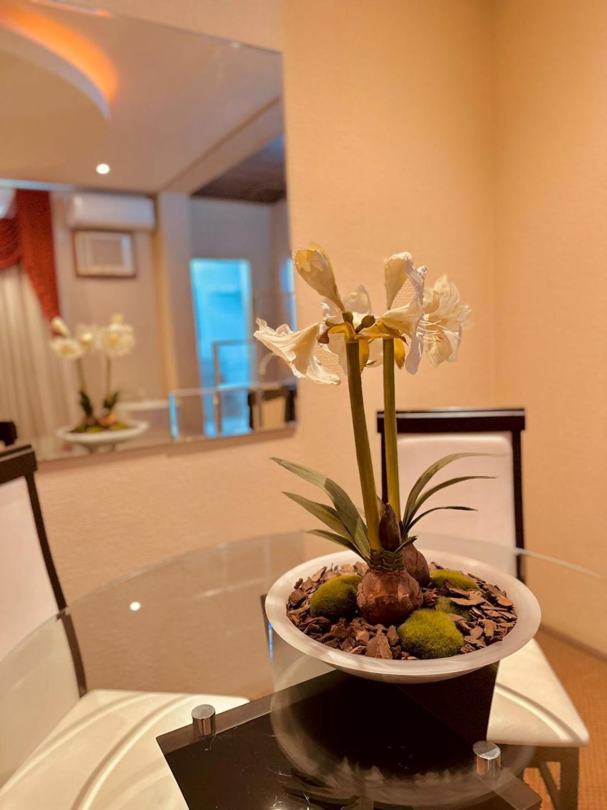 Skalla Hotel Нова-Одесса Экстерьер фото